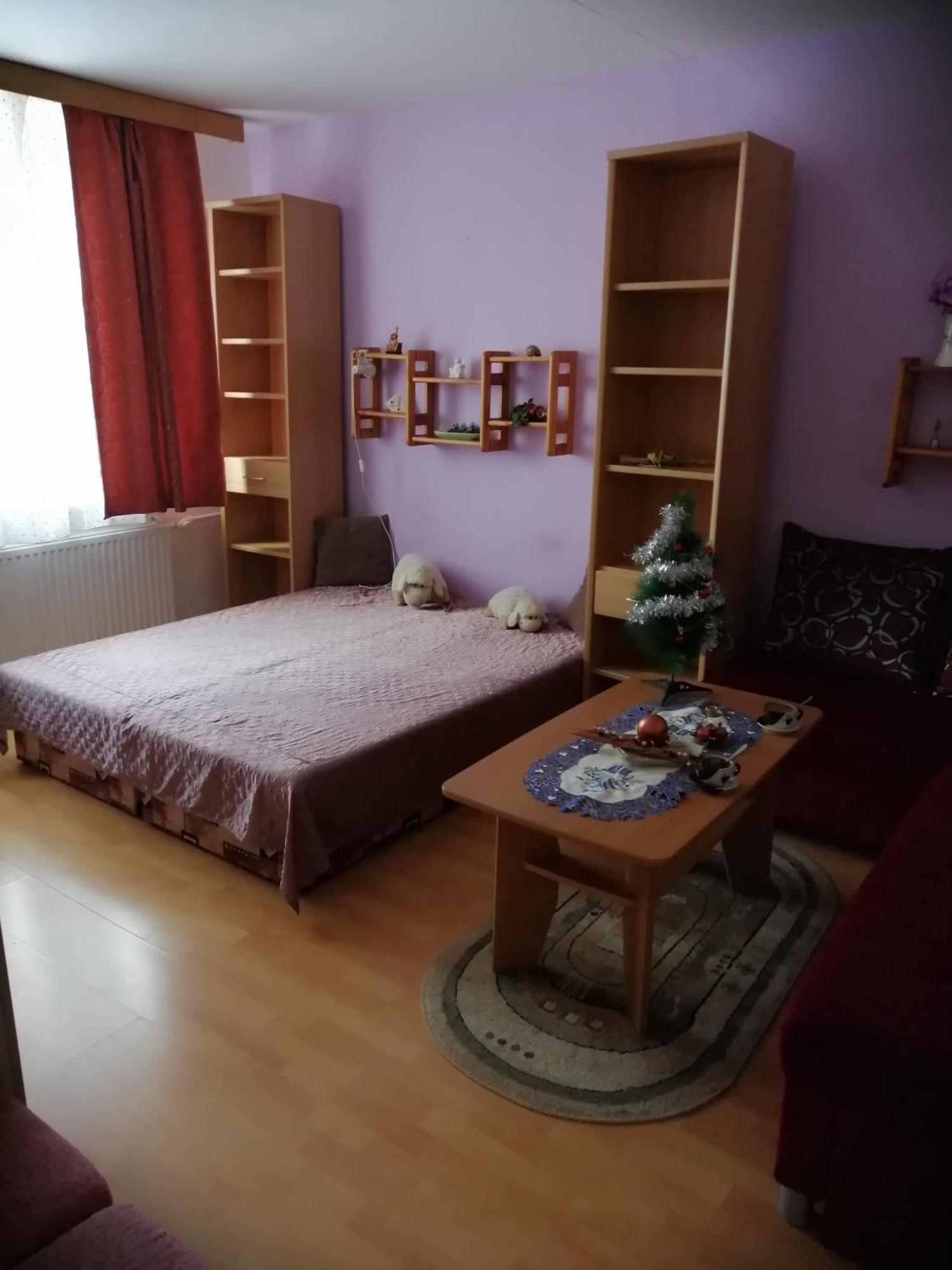 Apartman Palenica タトランスカー・シュトゥルバ 部屋 写真