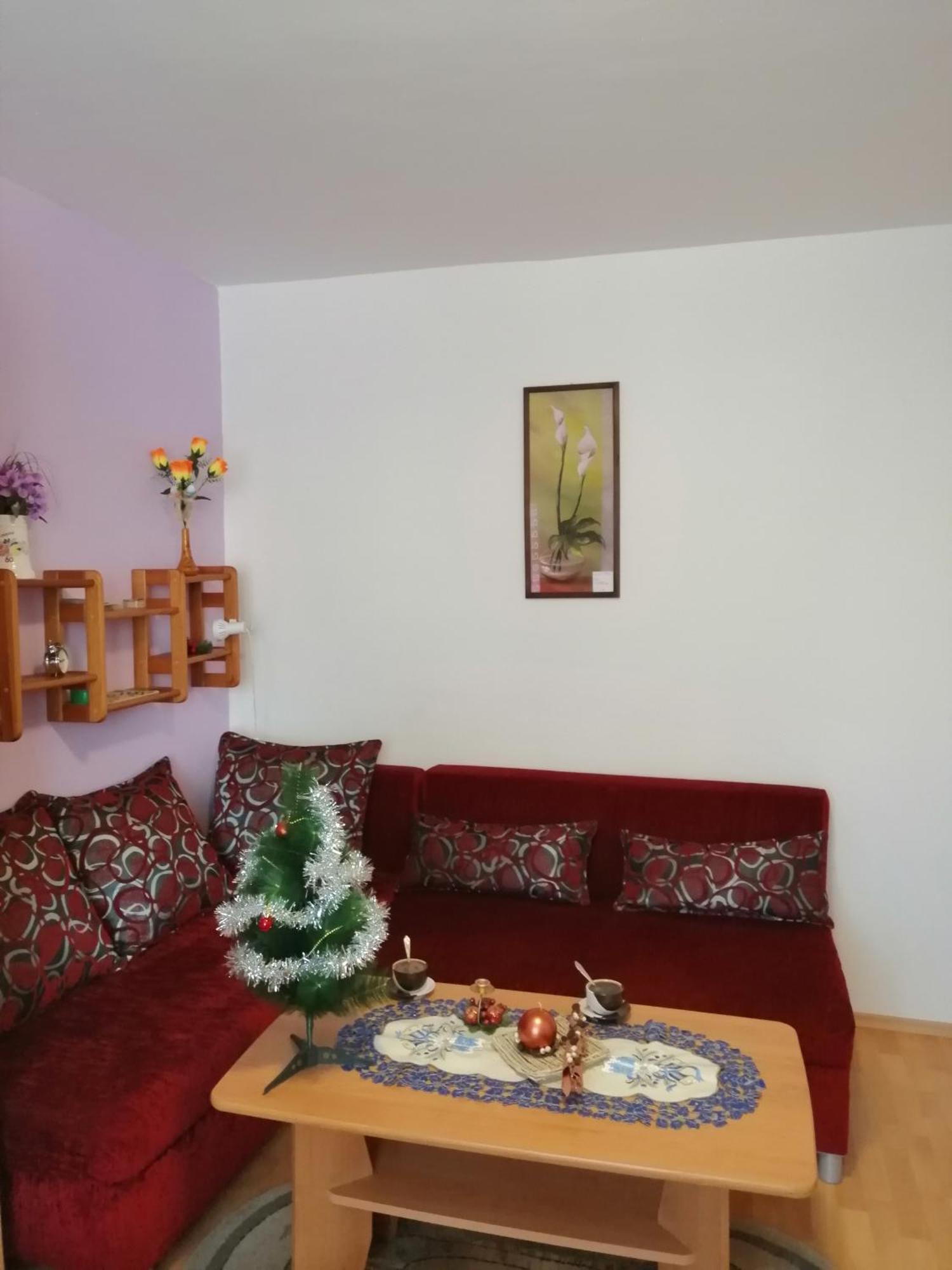 Apartman Palenica タトランスカー・シュトゥルバ 部屋 写真